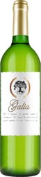 Galia Blanc vin de france 2020