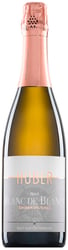 Huber Sekt Grüner Veltliner Blanc de Blancs Reserve Brut 2021 ØKO