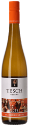 Tesch Riesling St. Remigiusberg Nahe 2019