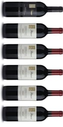 Parusso - 1 Barolo og 5 Barbera