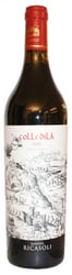 Colledila 2008
