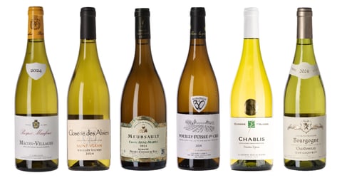 Hvid Bourgogne smagekasse