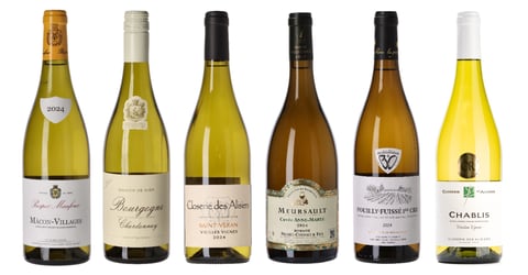 Hvid Bourgogne smagekasse