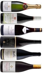 Pinot Noir Jorden Rundt