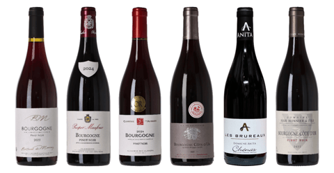 Rød Bourgogne Smagekasse
