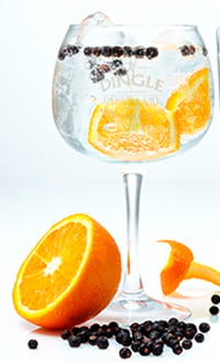 Dingle Gin glas - 6pk