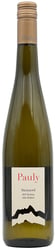 Axel Pauly Steinerd Feinherb Mosel Riesling 2023