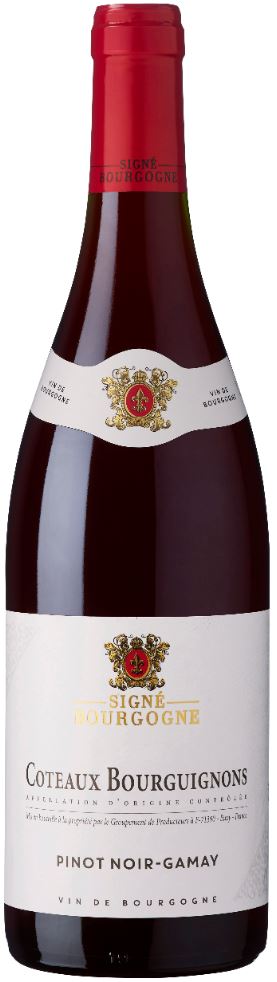 ワイン Coteaux Bourguignons 2018 Signe Bourgogne Pinot Noir Gamay Coteaux Bourguignon 2018 | Supervin
